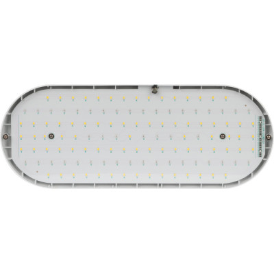 Светильник для растений  FITO-25W-QLED-FLY