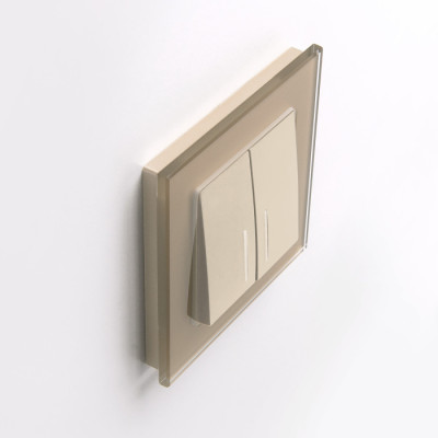 Рамка Favorit шампань W0011111