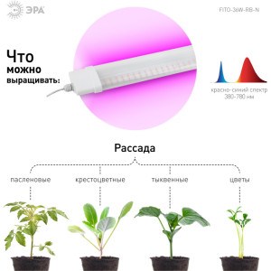 Светильник для растений  FITO-36W-RB-N